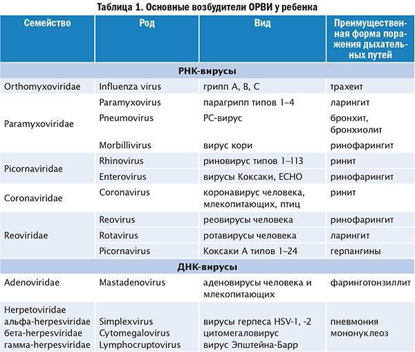 Обструктивный бронхит у детей