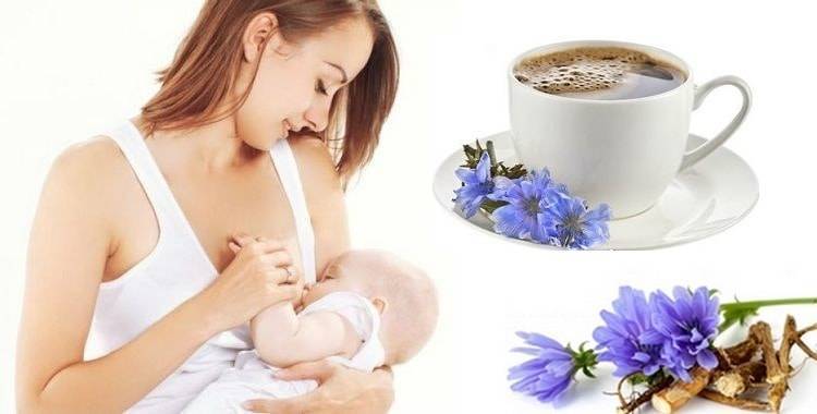 Мята при грудном вскармливании, в том числе перечная: можно ли маме пить чай при гв, также употреблять его в первый месяц лактации, как это влияет на новорожденного?