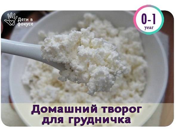 Творог для детей до года: когда и сколько давать, как приготовить безопасный продукт