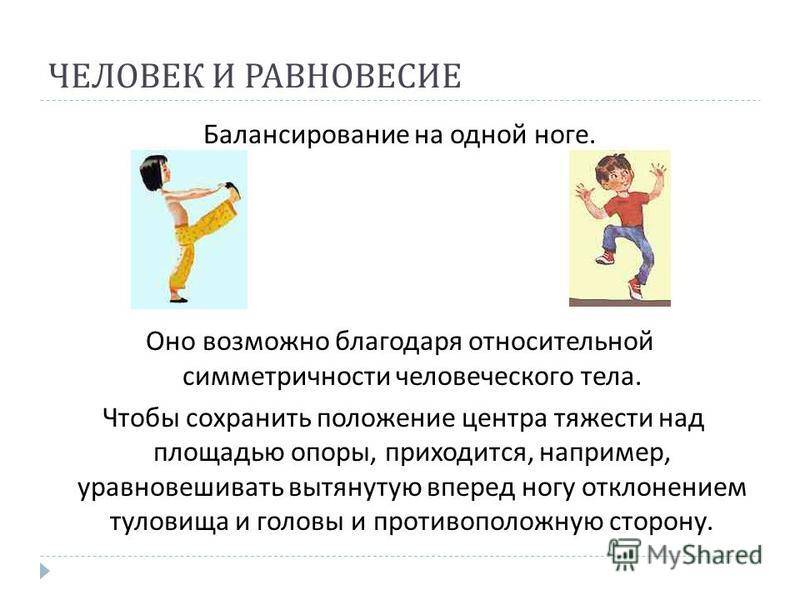 Выводить равновесие