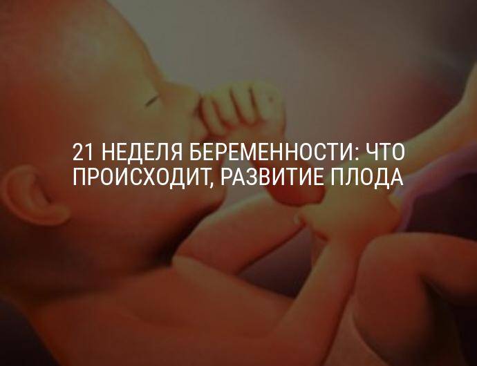 21 неделя беременности. календарь беременности   | материнство - беременность, роды, питание, воспитание