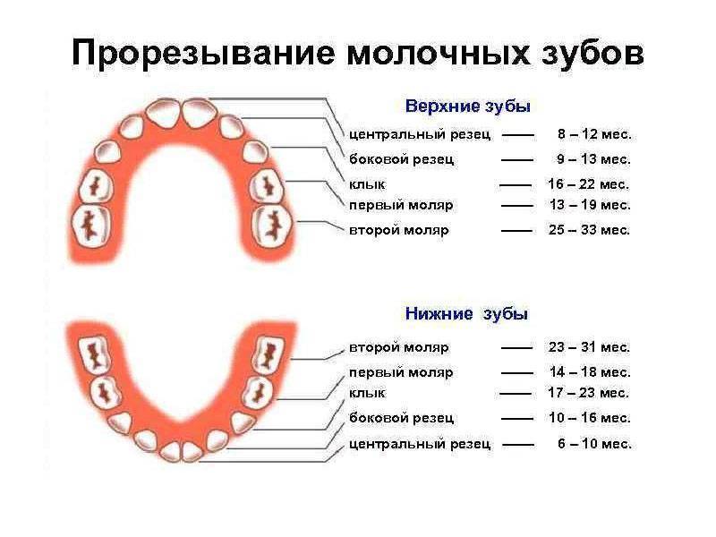 Температура из-за зубов – почему возникает?