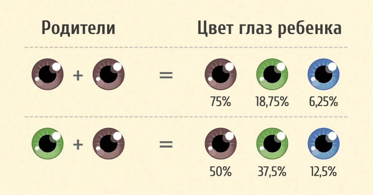 Во сколько у грудничков меняется цвет глаз или когда меняются глаза у новорожденных, секреты изменения цвета глаз у младенца stomatvrn.ru