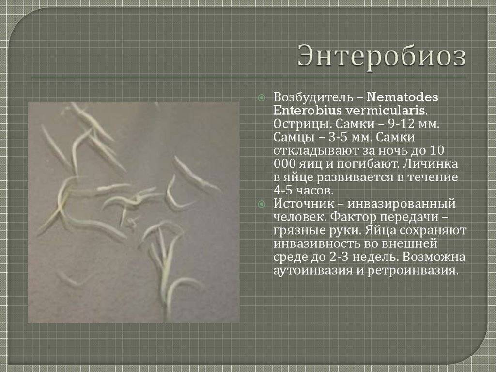 Острицы у детей. нужна ли профилактика?