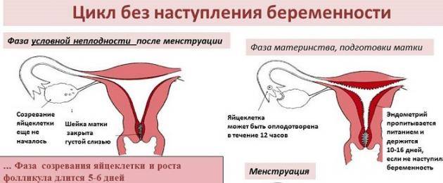 Секс После Родов Через Сколько Можно