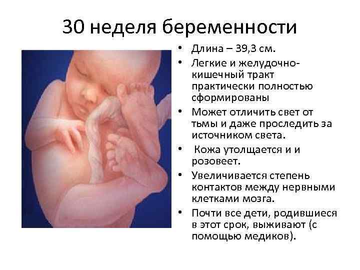 24 неделя беременности - размеры и развитие плода, околоплодные воды, утомляемость, питание, анализы и узи