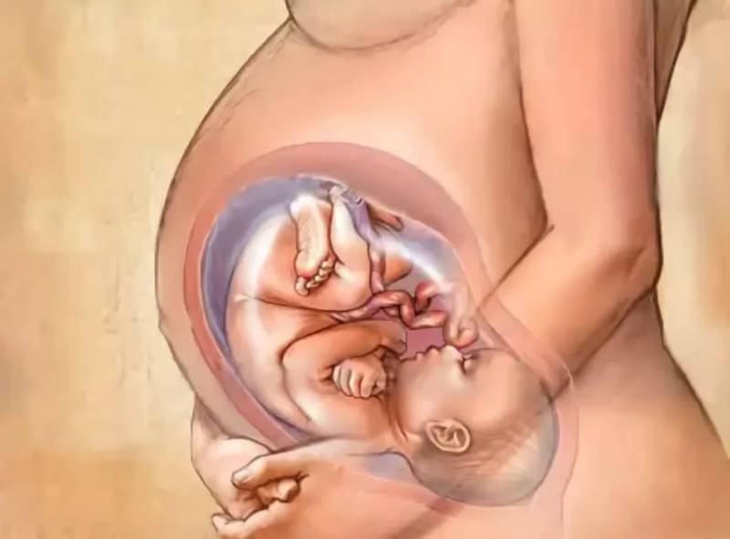 35 неделя беременности - что происходит, развитие плода, можно ли рожать