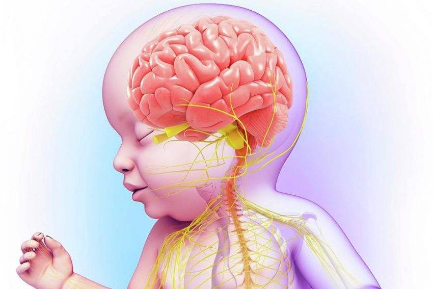 Признаки нейрофизиологической незрелости коры головного мозга у ребенка