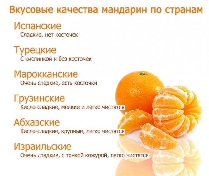 Цитрусовые детям (апельсины, мандарины): можно ли давать и когда