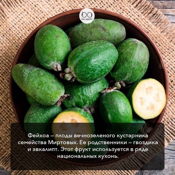 Фейхоа при грудном вскармливании: польза или вред