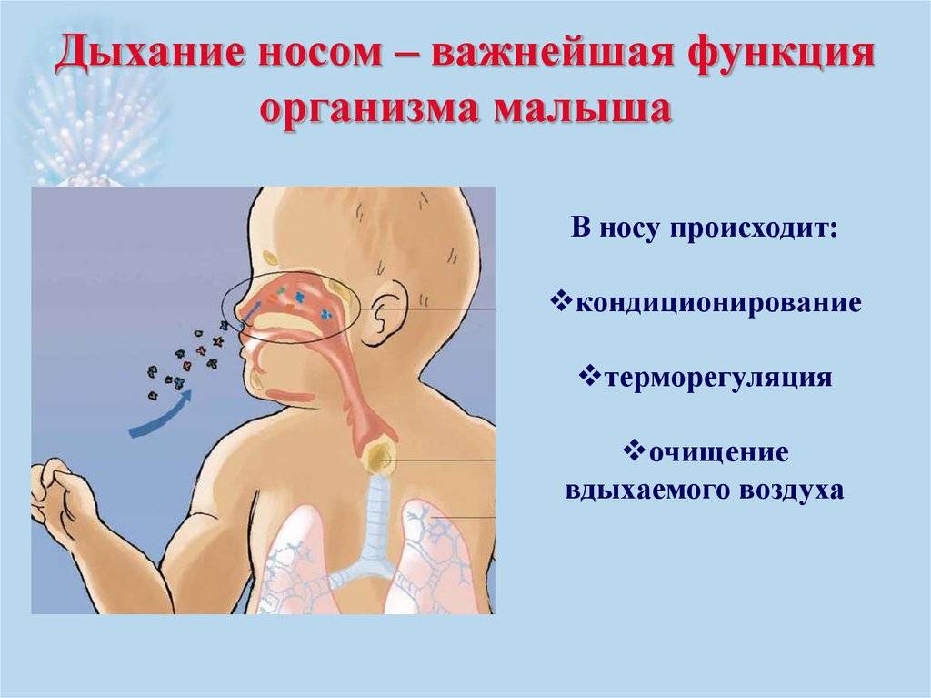 Почему новорожденные дышат чаще. Дыхание носом. Заболевания органов дыхания у детей. Нос орган дыхания. Органы дыхания у детей.