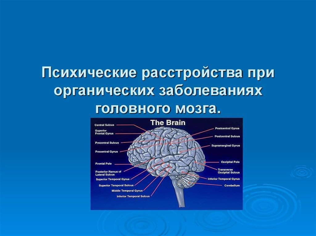 Органическое поражение мозга | стационар «новая медицина»