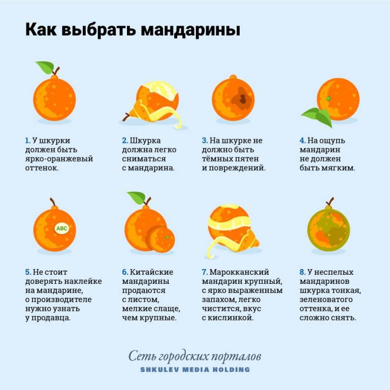 С какого возраста можно предлагать мандарины ребенку - для мам