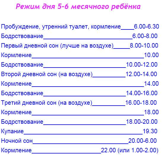 Все о режиме дня для ребенка 6 месяцев на грудном и искусственном вскармливании