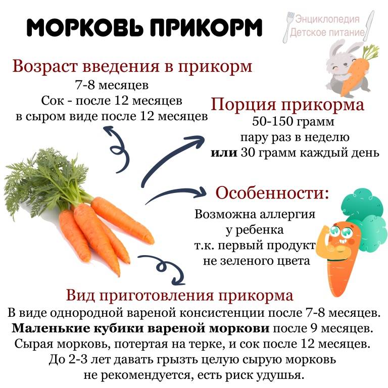 Как вводить морковь в прикорм