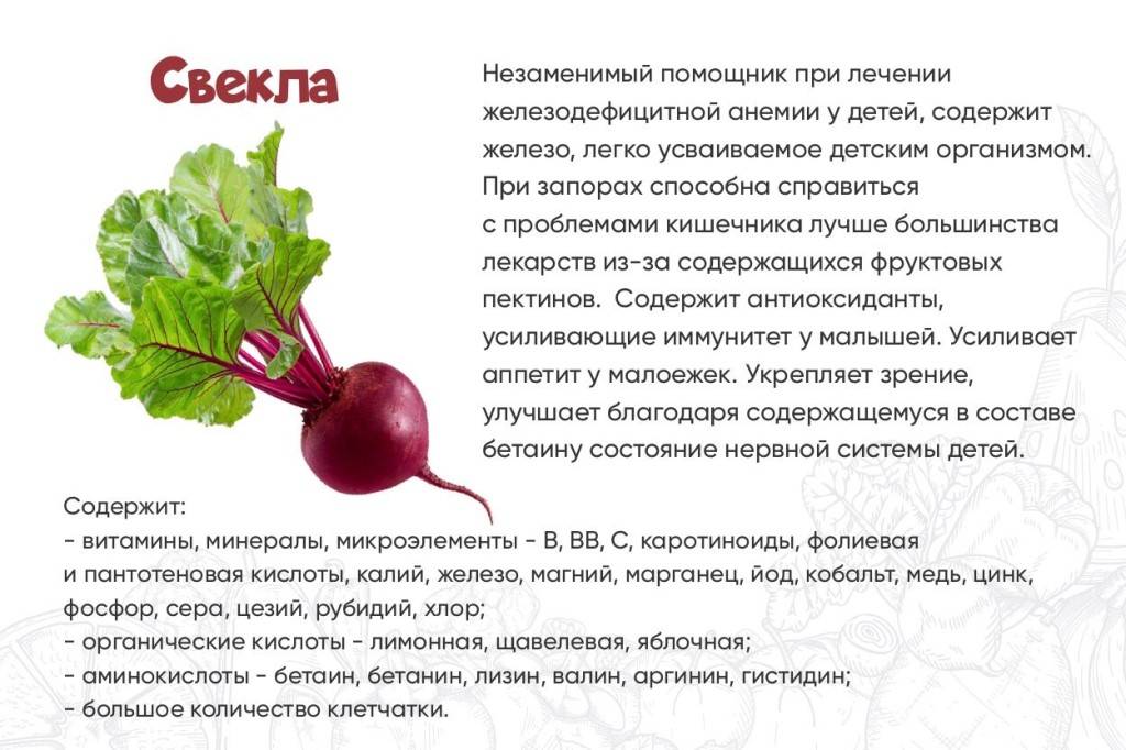 С какого возраста можно давать ребенку свеклу: со скольки месяцев, когда и как вводить прикорм до года, чем полезен сырой и вареный овощ для грудничков? русский фермер