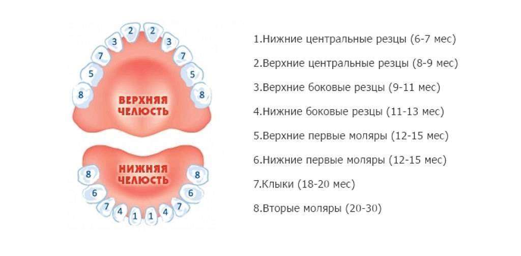 Диарея на фоне прорезывания зубов