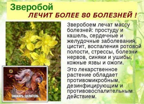 Топ 11 таблеток от повышенного давления нового поколения- рейтинг хороших средств 2021