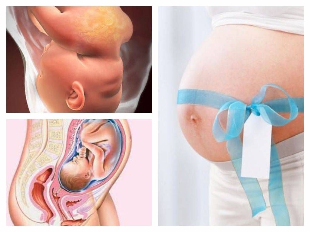 34 неделя беременности: что происходит в 9 месяц от зачатия?