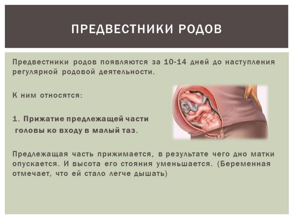 Ощущения перед родами: температура, тошнота, выделения, слизистая пробка | центр репродукции и планирования семьи в москве