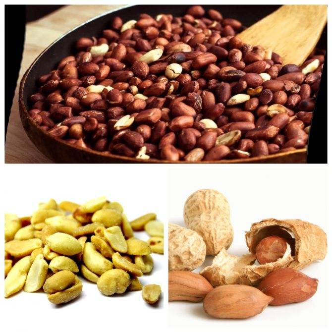Арахис: можно ли детям есть орехи, полезные свойства арахиса для детей и вред продукта