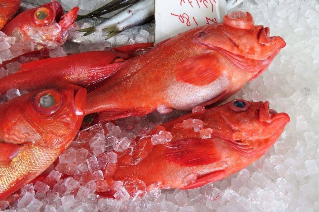 Как вкусно отварить морского окуня диет блюдо