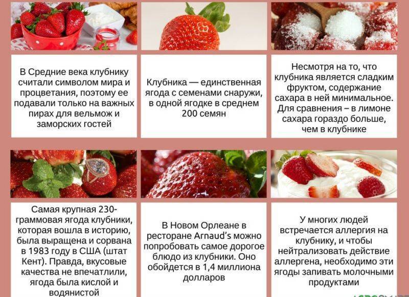 Когда и с какого возраста детям можно давать клубнику