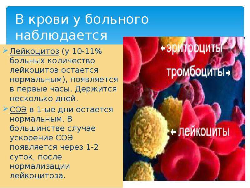 В чем причины снижения лейкоцитов в крови у ребенка? поговорим про состояние пониженных лейкоцитов в крови у ребенка лейкопения комаровский.