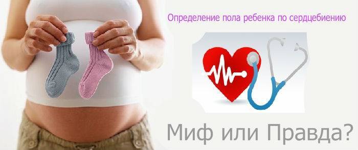 Как по сердцебиению определить пол ребенка в 12 недель с использованием таблицы чсс плода? – bonbonufa.ru