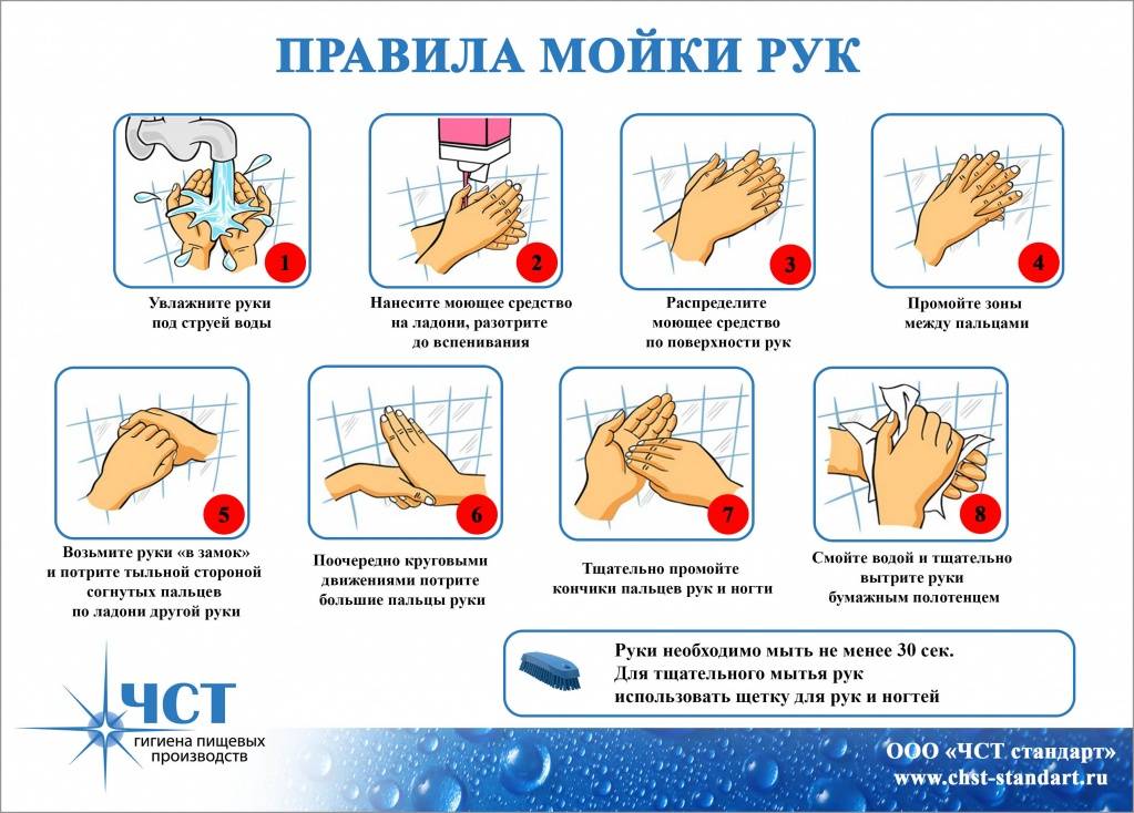 Конспект од по формированию культурно-гигиенических навыков у детей младшего дошкольного возраста «научим хрюшку мыть руки»