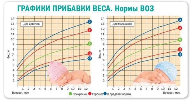 Прибавка в весе у новорожденных на грудном вскармливании по месяцам