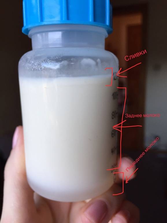Свойства переднего и заднего грудного молока