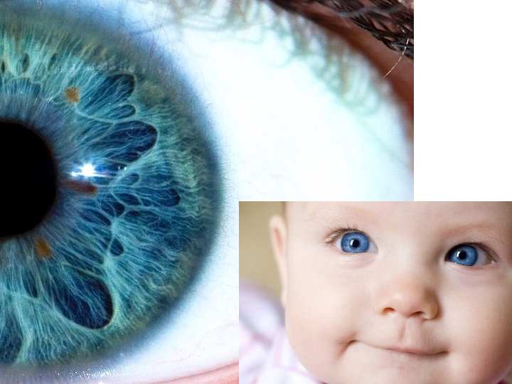 Когда меняется цвет глаз у новорожденного ребенка, и могут ли родители повлиять на этот процесс