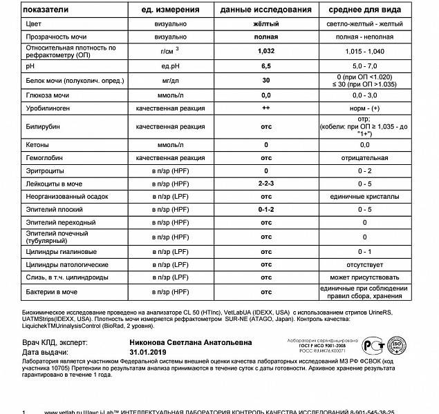 Анализ мочи слизь