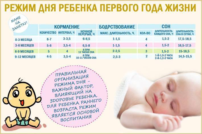 Режим дня ребенка в 4 месяца + таблица по часам |