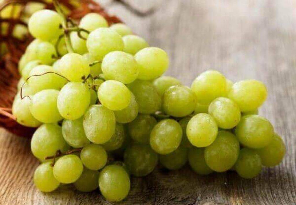 Виноград при грудном вскармливании: польза или опасность?