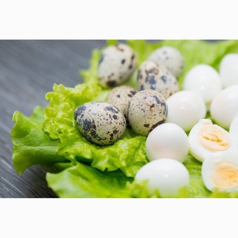Перепелиные яйца для детей: польза, как давать, меры предосторожности
