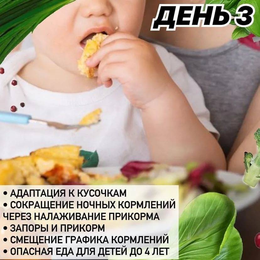 Опасный прикорм: ТОП-5 ошибок родителей