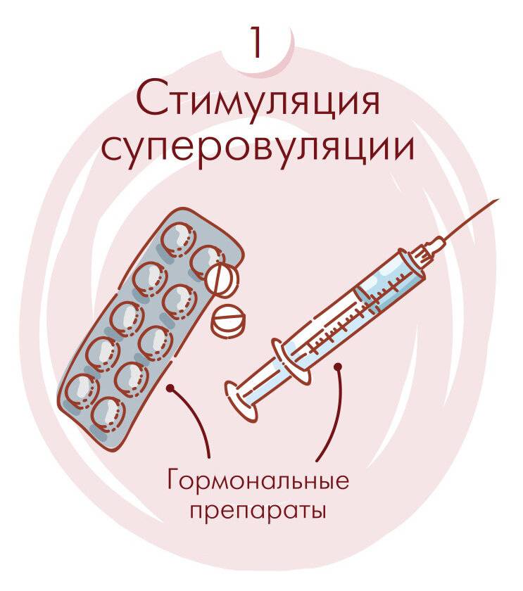 Стимуляция овуляции схема форум