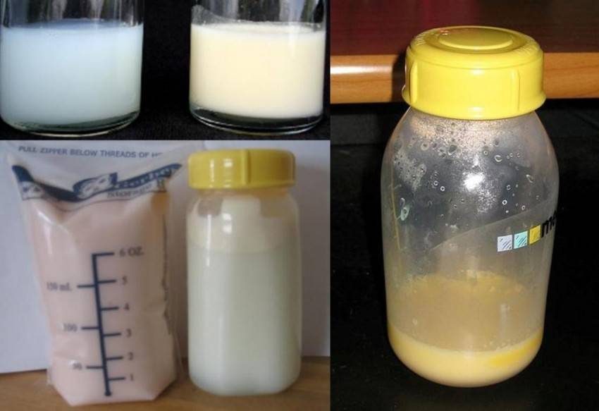 Как повысить жирность грудного молока. продукты, увеличивающие лактацию молока кормящей
