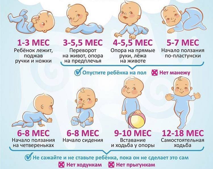 Развитие ребенка в 6 месяцев: на что обратить внимание, особенности развития