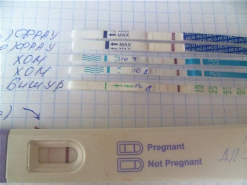 Определение беременности по животу на ранних сроках: способы и сомнительные признаки