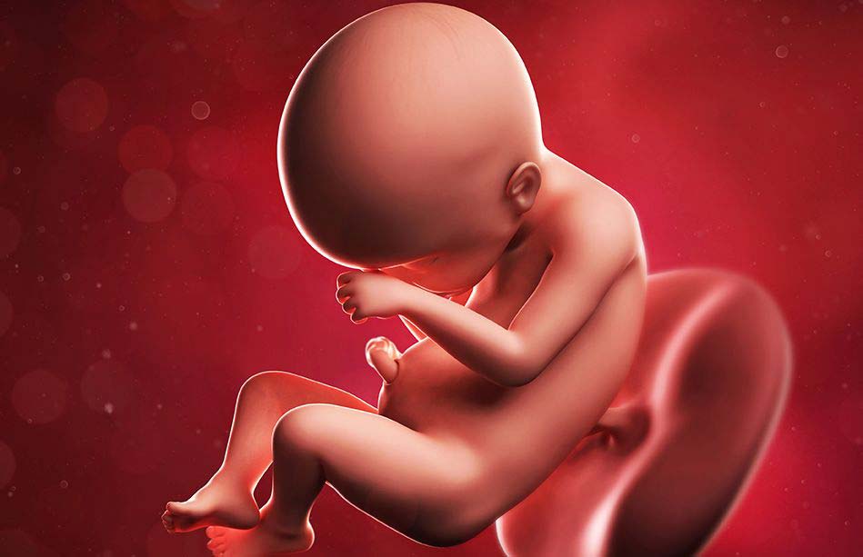 Прерывание беременности: сроки и последствия