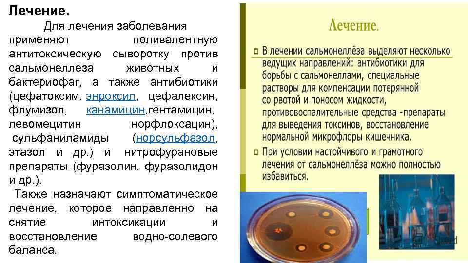 Лечение сальмонеллеза - медицинский портал eurolab