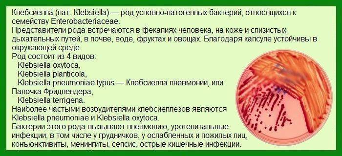 Анализ кала на дисбактериоз
