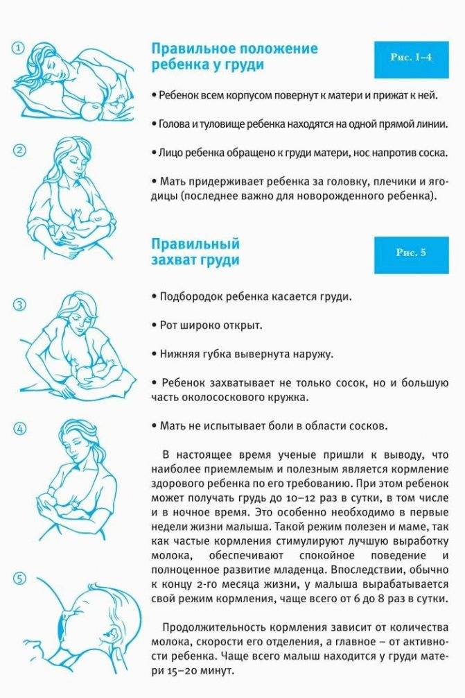 Польза раннего прикладывания к груди для ребенка и мамы