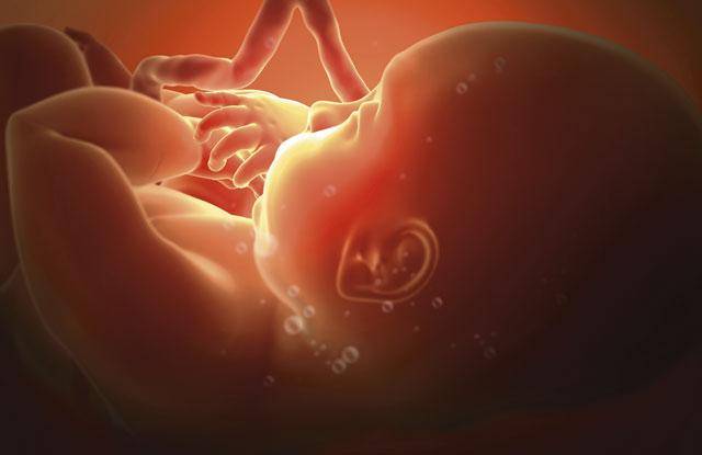 Почему икает ребенок в утробе матери — причина икоты плода