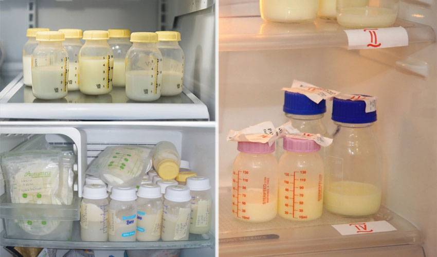 Сколько хранится грудное молоко в холодильнике, при комнатной температуре после сцеживания?