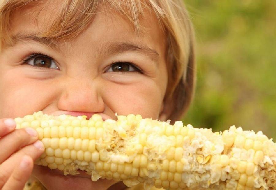 С какого возраста можно давать детям варёную кукурузу?