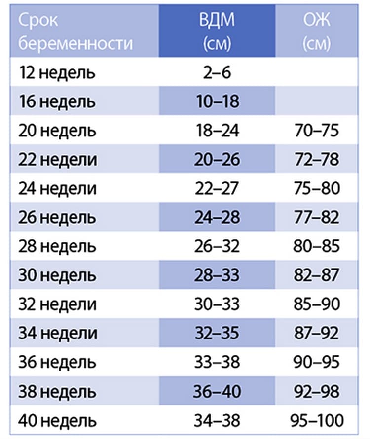 Окружность живота по неделям беременности: норма, таблица - детская клиническая больница г. улан-удэ